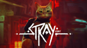 Stray дадут в ноябре